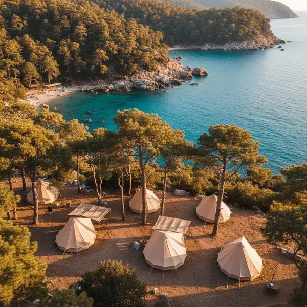 Olympos Woods